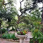 Magnolia 2*