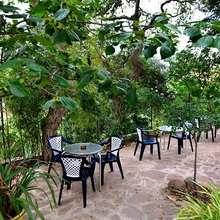 Magnolia Maison d'hôtes Lloret de Mar