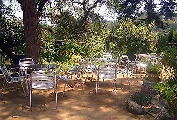 Guest house Magnolia 2*