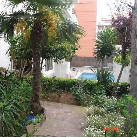 Magnolia يوريت دي مار