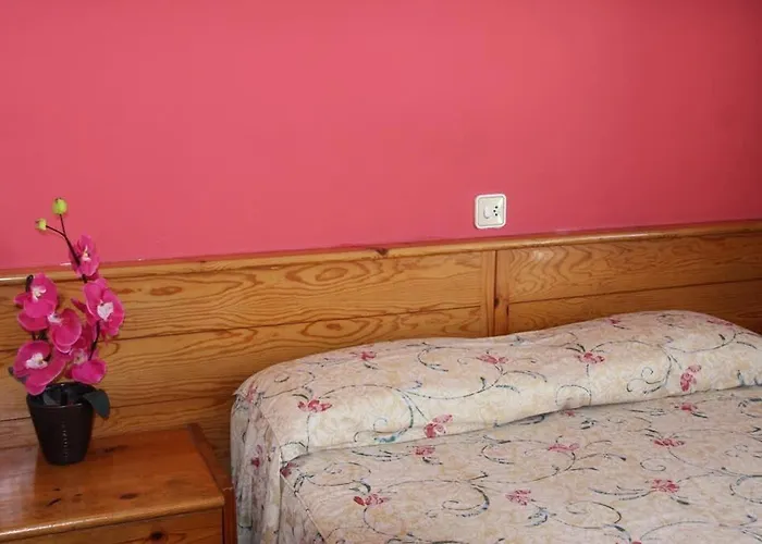 Magnolia Lloret de Mar