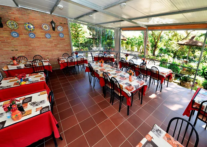 Magnolia 2* Lloret de Mar